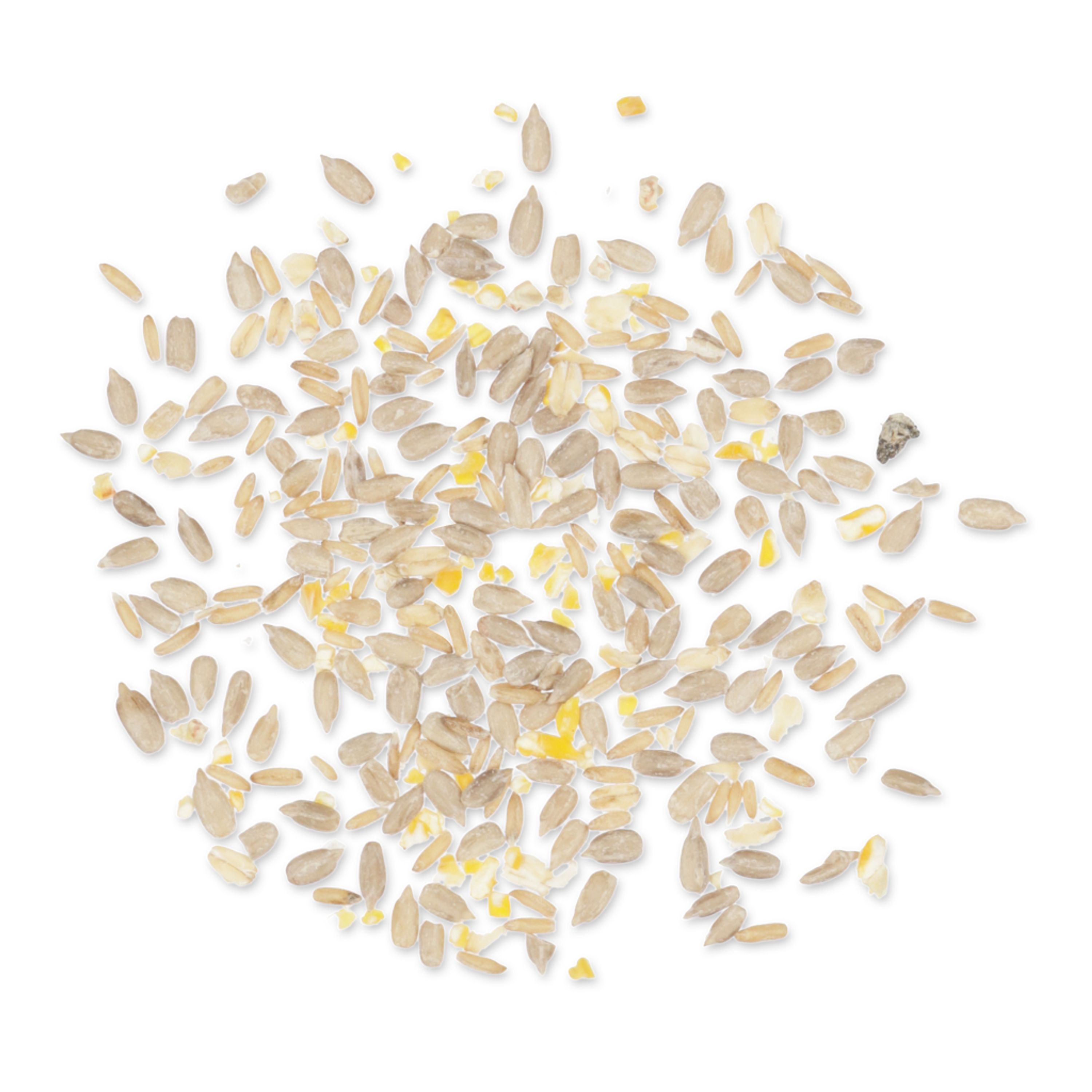 Green+ Futtermischung 2,5 kg (biologischer Anbau) | Vogelfutter | CJ Wildlife